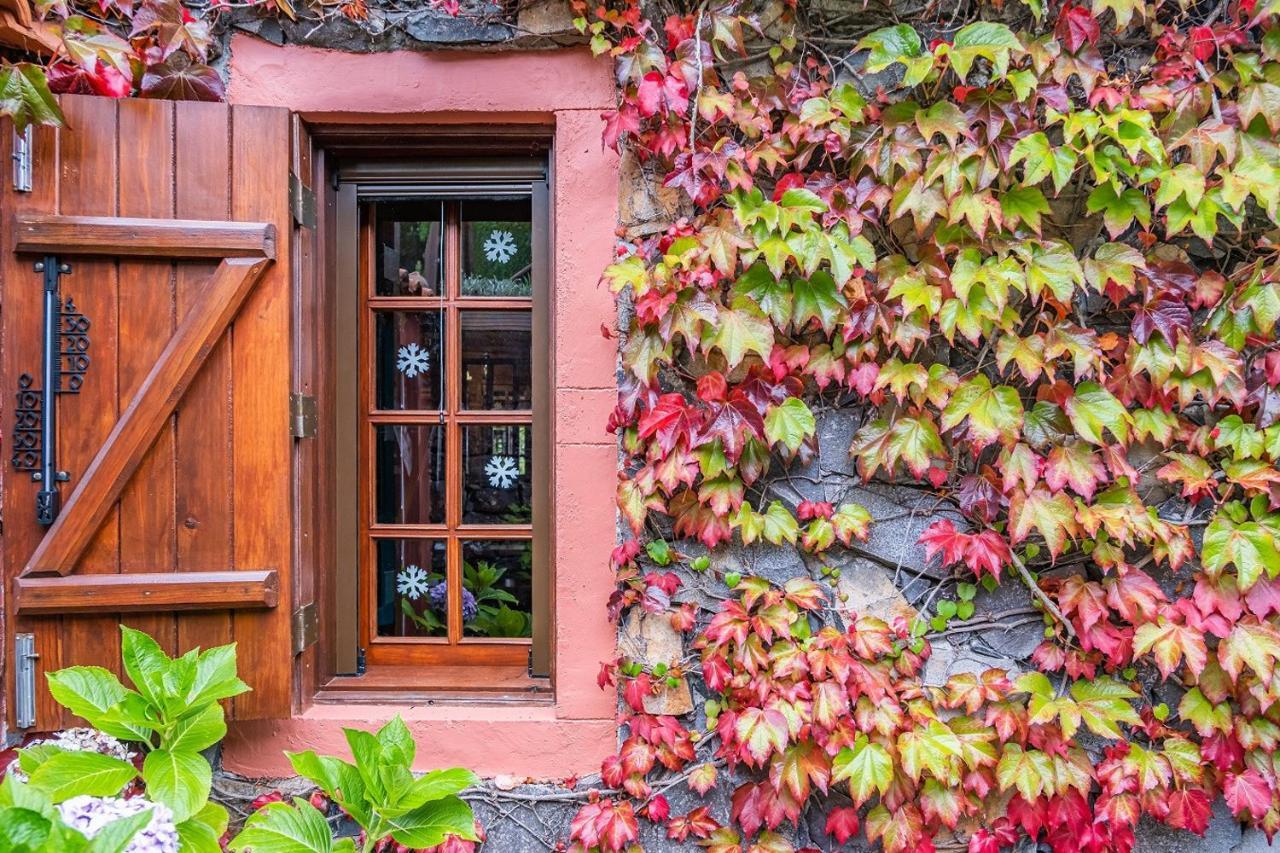 Villa Achada Da Mouca By Madeira Sun Travel سانتانا المظهر الخارجي الصورة